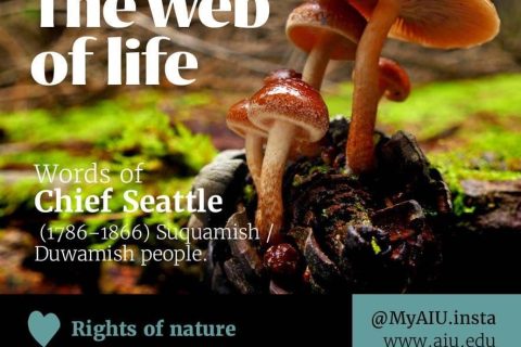 The Web of Life (Rights of Nature) – Atlantic International University