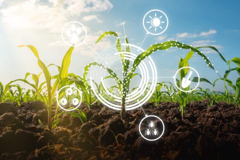 SustainableAgricultureTechnology-scaled