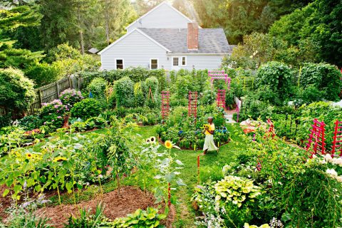 BHG-What-Is-a-Permaculture-Garden-3AWGe3jUq5hAt8vbh3yisf-f3d0c14454b44bf5b319234918574b9e