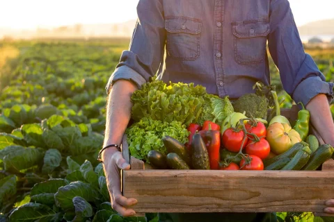 Veggies-GettyImages-870915532_vp1