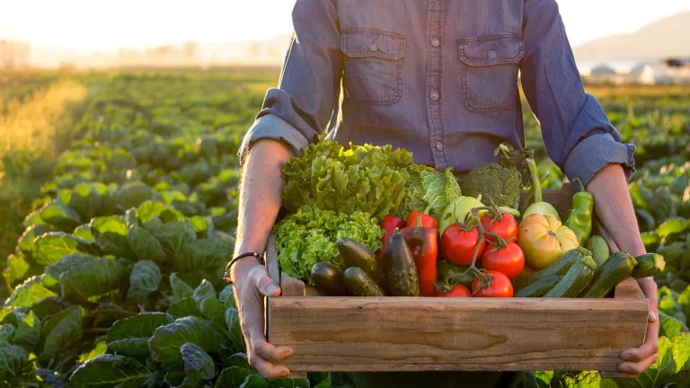 Veggies-GettyImages-870915532_vp1