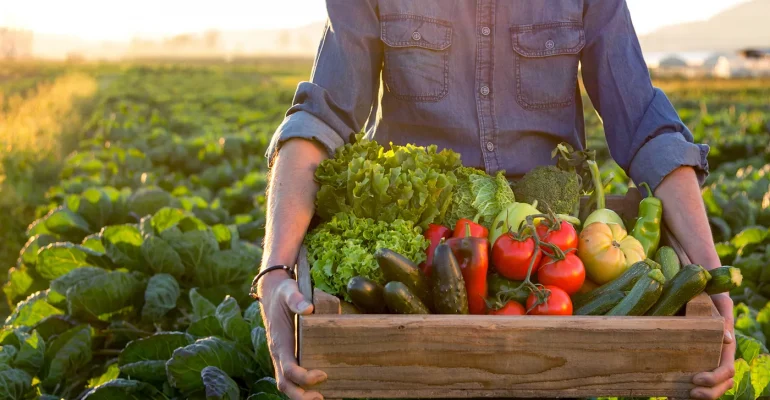 Veggies-GettyImages-870915532_vp1